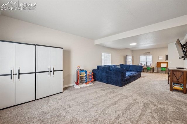 6107 Adamants Dr, Colorado Springs, CO 80924 - carpeted living room featuring baseboards