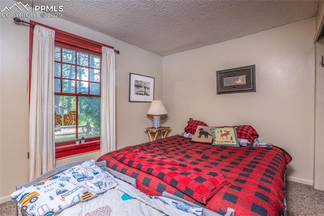 12185 Black Forest Rd, Colorado Springs, CO 80908 - bedroom with carpet and a textured ceiling