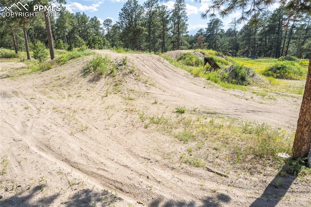 12185 Black Forest Rd, Colorado Springs, CO 80908 - view of dirt / gravel road