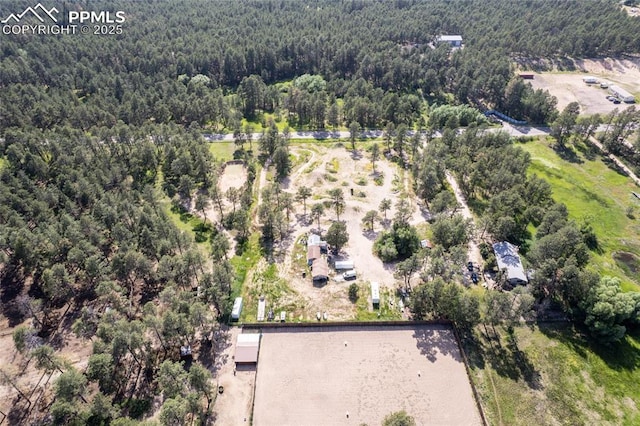 12185 Black Forest Rd, Colorado Springs, CO 80908 - aerial view of a heavily wooded area