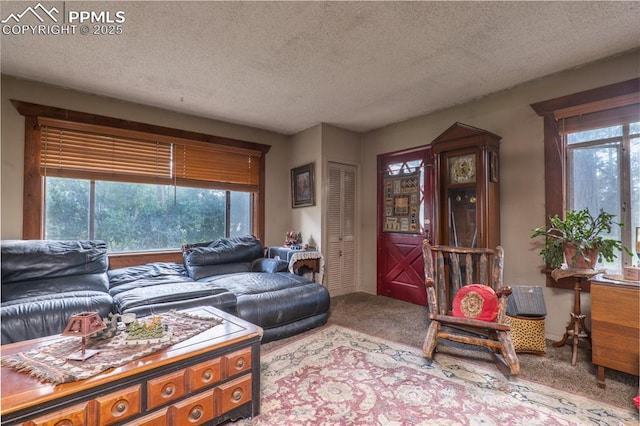 12185 Black Forest Rd, Colorado Springs, CO 80908 - carpeted living area with a textured ceiling