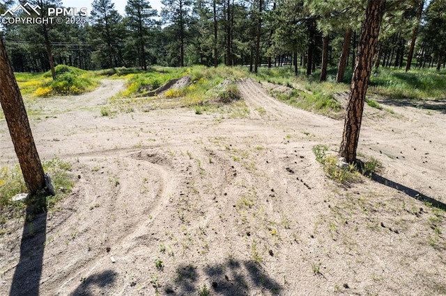 12185 Black Forest Rd, Colorado Springs, CO 80908 - view of nature