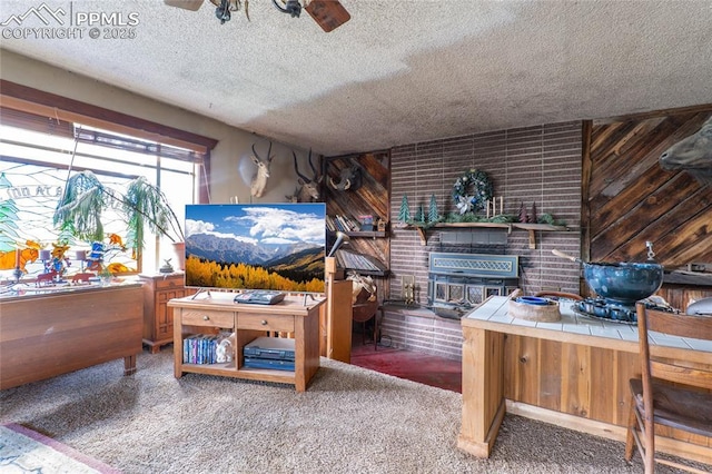 12185 Black Forest Rd, Colorado Springs, CO 80908 - home office featuring a textured ceiling, a ceiling fan, and carpet floors