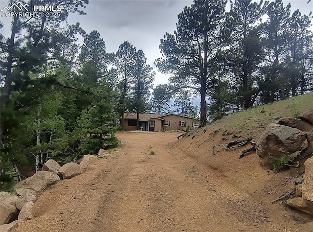 237 Blue Spruce Rd, Divide, CO 80814 - view of yard