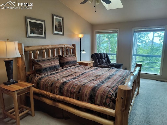 237 Blue Spruce Rd, Divide, CO 80814 - carpeted bedroom with lofted ceiling, multiple windows, and a skylight