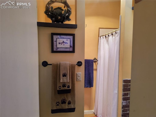 237 Blue Spruce Rd, Divide, CO 80814 - view of bathroom