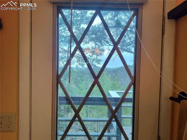 237 Blue Spruce Rd, Divide, CO 80814 - detailed view