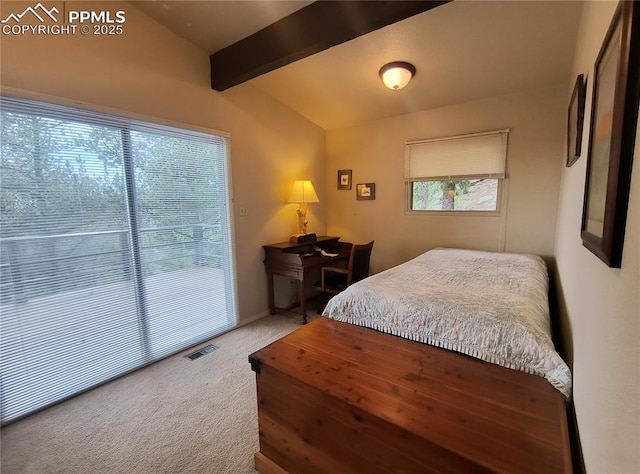 237 Blue Spruce Rd, Divide, CO 80814 - view of carpeted bedroom