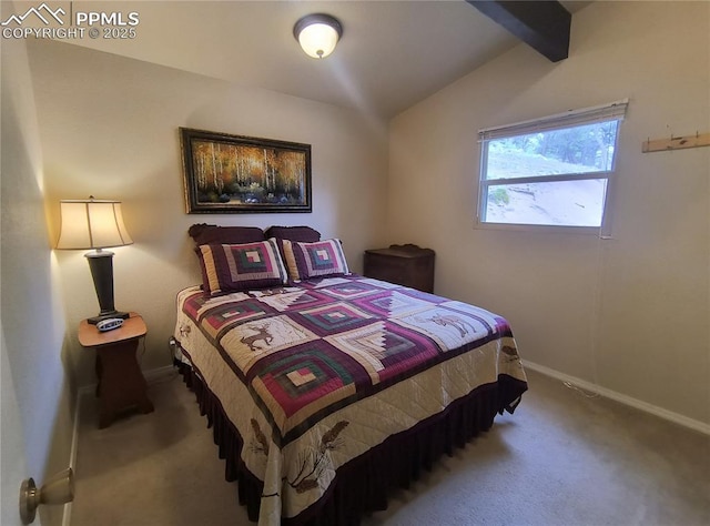 237 Blue Spruce Rd, Divide, CO 80814 - bedroom featuring carpet and baseboards