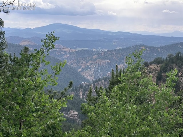 237 Blue Spruce Rd, Divide, CO 80814 - view of mountain backdrop