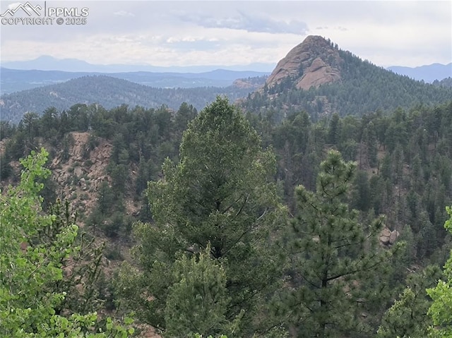 237 Blue Spruce Rd, Divide, CO 80814 - mountain view with a heavily wooded area