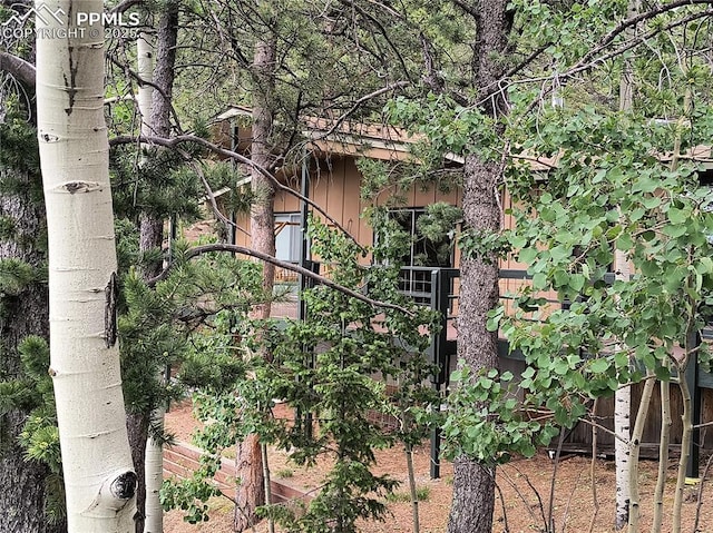 237 Blue Spruce Rd, Divide, CO 80814 - view of property exterior