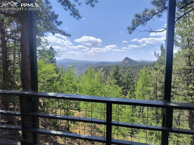 237 Blue Spruce Rd, Divide, CO 80814 - view of mountain background with a forest