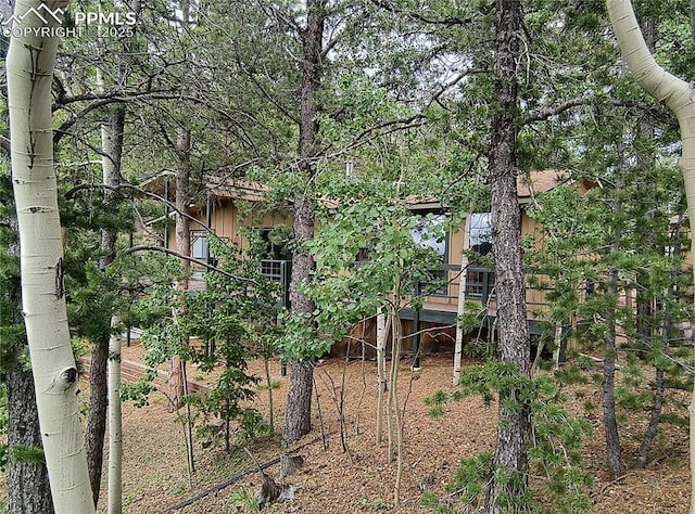 237 Blue Spruce Rd, Divide, CO 80814 - rear view of house