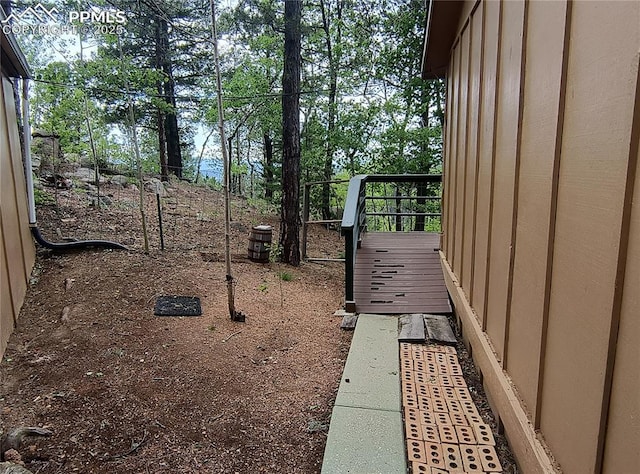 237 Blue Spruce Rd, Divide, CO 80814 - view of yard