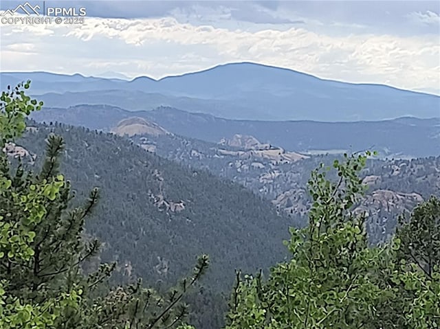 237 Blue Spruce Rd, Divide, CO 80814 - mountain view
