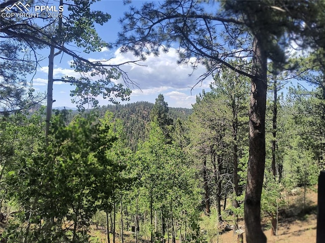 237 Blue Spruce Rd, Divide, CO 80814 - view of woods