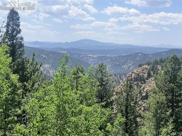 237 Blue Spruce Rd, Divide, CO 80814 - view of mountain background with a heavily wooded area