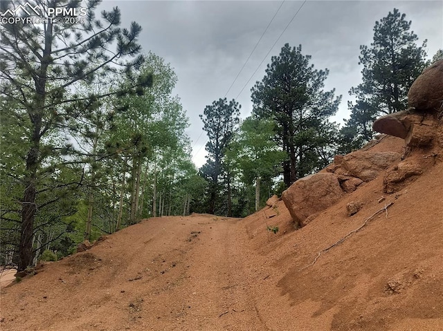 237 Blue Spruce Rd, Divide, CO 80814 - view of street