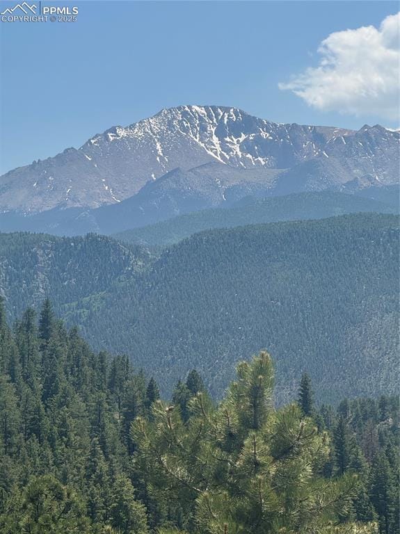 8743 High Mark Pt, Woodland Park, CO 80863