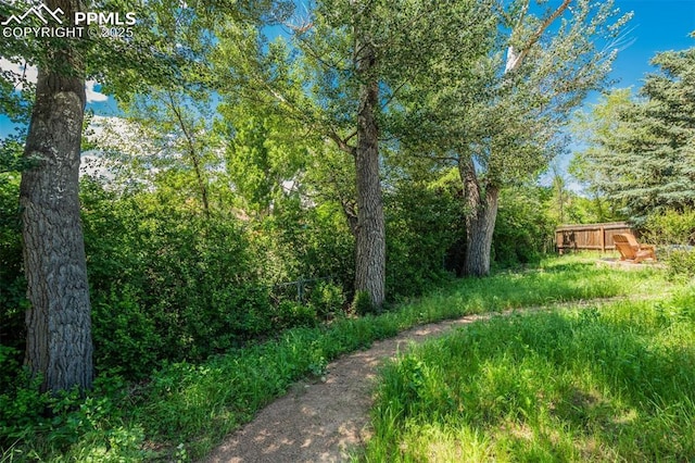 4734 Bunchberry Ln, Colorado Springs, CO 80917 - view of yard