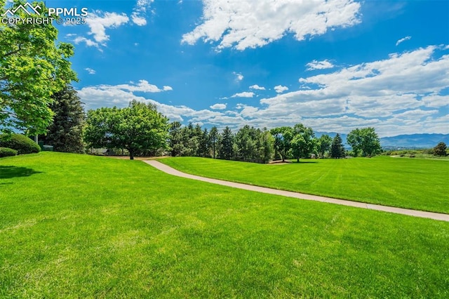 4734 Bunchberry Ln, Colorado Springs, CO 80917 - view of home's community with a yard