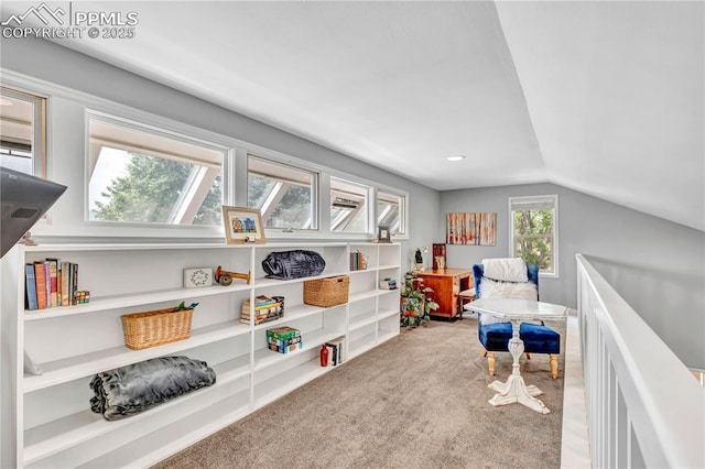 531 N Cedar St, Colorado Springs, CO 80903 - game room featuring carpet floors and lofted ceiling