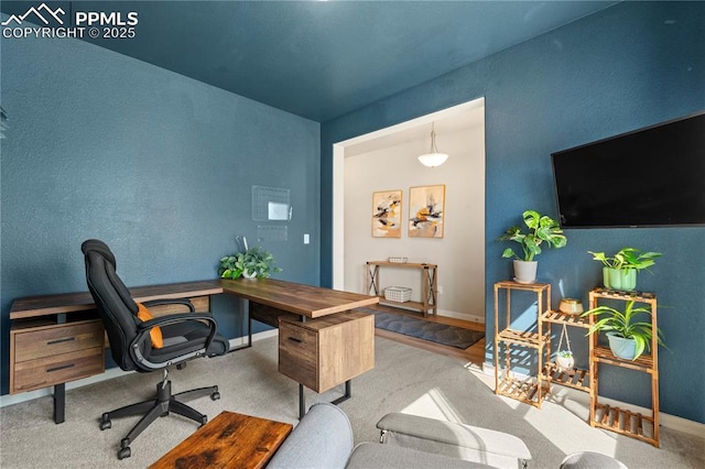 244 S Chipeta Way, Lochbuie, CO 80603 - office space with baseboards and carpet