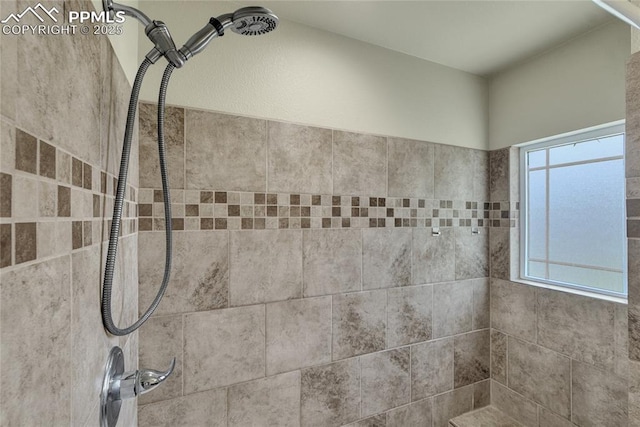 2601 Lynbarton Pt, Colorado Springs, CO 80918 - bathroom view of a tile shower