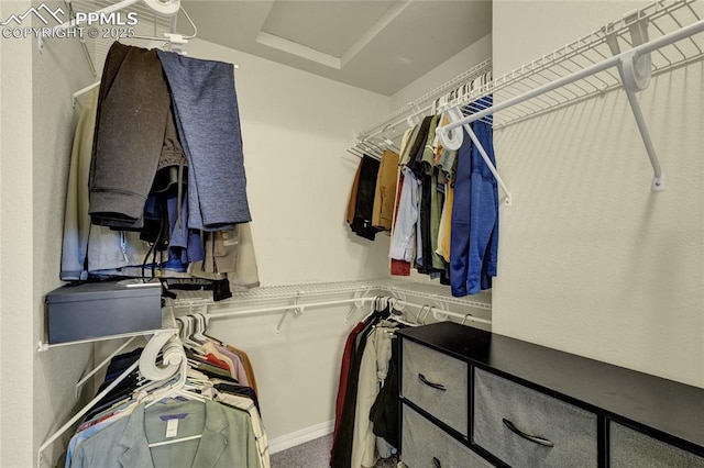 2601 Lynbarton Pt, Colorado Springs, CO 80918 - walk in closet with attic access