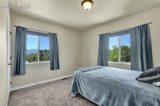 2601 Lynbarton Pt, Colorado Springs, CO 80918 - carpeted bedroom with baseboards and a mountain view