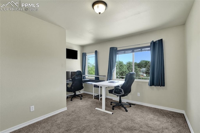 2601 Lynbarton Pt, Colorado Springs, CO 80918 - carpeted office with baseboards