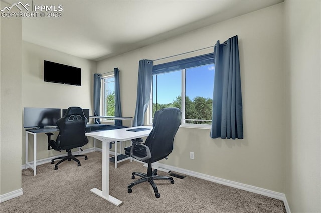 2601 Lynbarton Pt, Colorado Springs, CO 80918 - home office featuring carpet floors and baseboards
