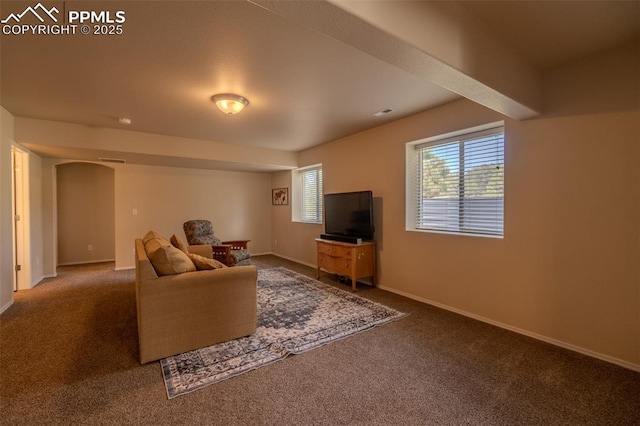 17529 Old Cherokee Trl, Colorado Springs, CO 80921 - living room featuring carpet and arched walkways