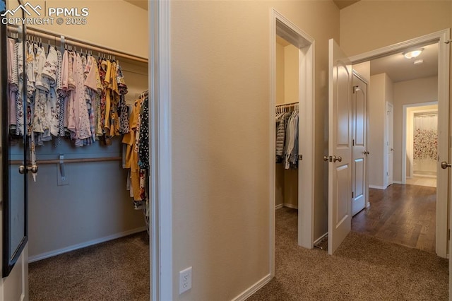17529 Old Cherokee Trl, Colorado Springs, CO 80921 - corridor featuring carpet