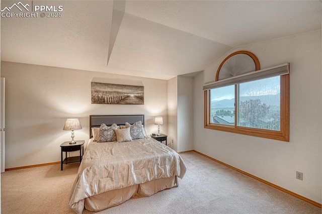 1520 Ledge Rock Ter, Colorado Springs, CO 80919 - bedroom with carpet and lofted ceiling