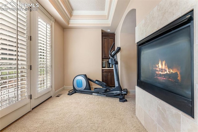 2585 Dunfries Ct, Colorado Springs, CO 80919 - exercise room with ornamental molding, a tray ceiling, and carpet