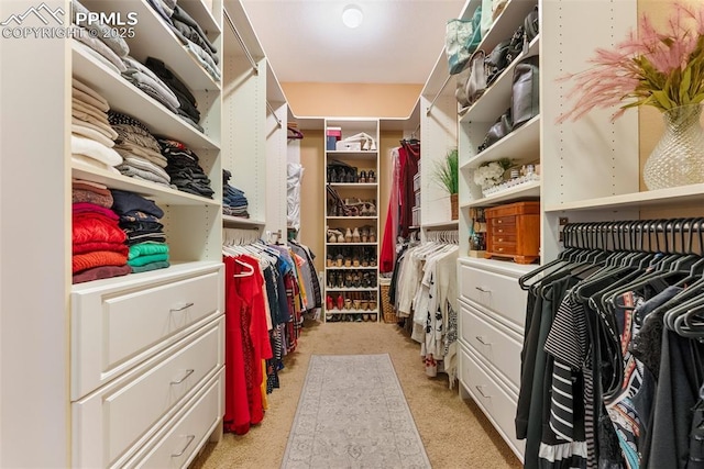 2585 Dunfries Ct, Colorado Springs, CO 80919 - spacious closet featuring light carpet