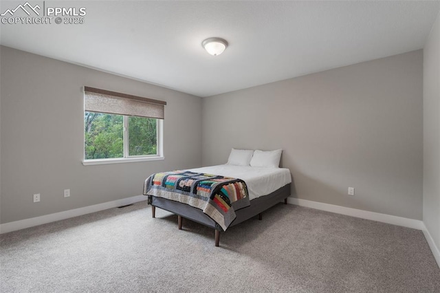 501 N Franklin St, Colorado Springs, CO 80903 - bedroom featuring baseboards and carpet flooring