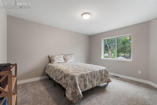 501 N Franklin St, Colorado Springs, CO 80903 - carpeted bedroom with baseboards