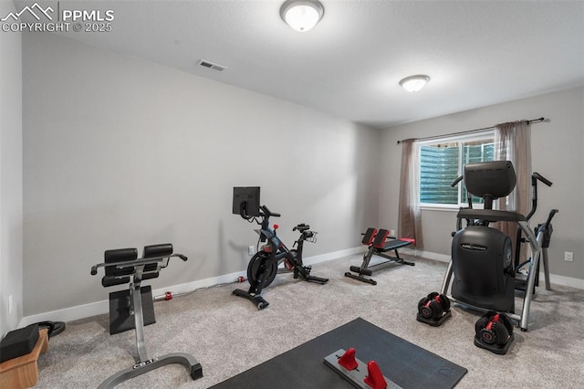 501 N Franklin St, Colorado Springs, CO 80903 - workout area featuring carpet