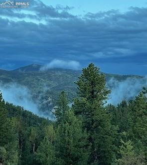 714 Woodrock Way, Divide, CO 80814 - view of mountain background featuring a heavily wooded area
