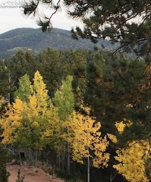 714 Woodrock Way, Divide, CO 80814 - mountain view featuring a forest