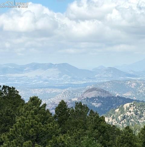 714 Woodrock Way, Divide, CO 80814 - view of mountain backdrop featuring a forest