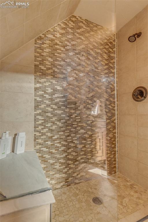 1607 N Chestnut St, Colorado Springs, CO 80907 - full bath with a tile shower