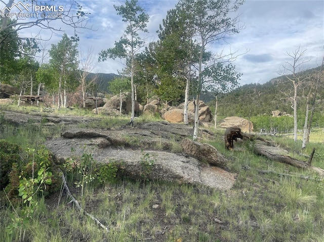 170 Emerald Way, Lake George, CO 80827