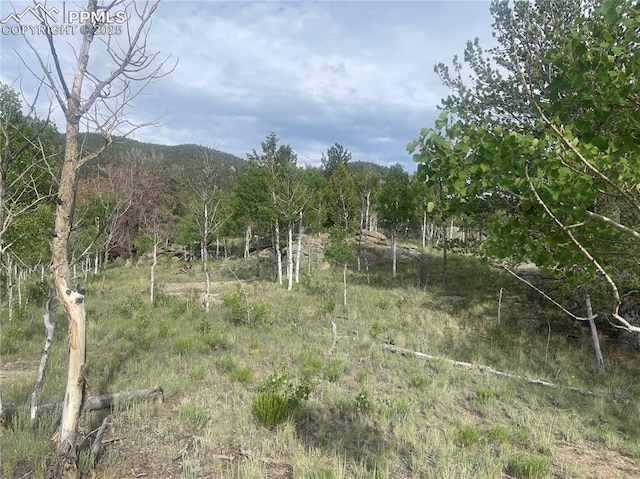 170 Emerald Way, Lake George, CO 80827