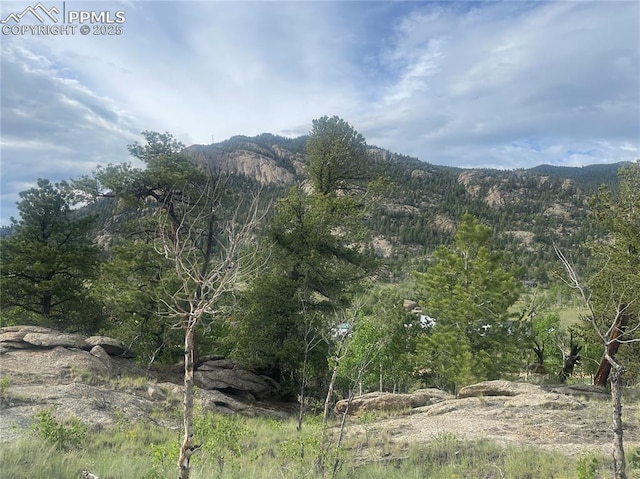 170 Emerald Way, Lake George, CO 80827