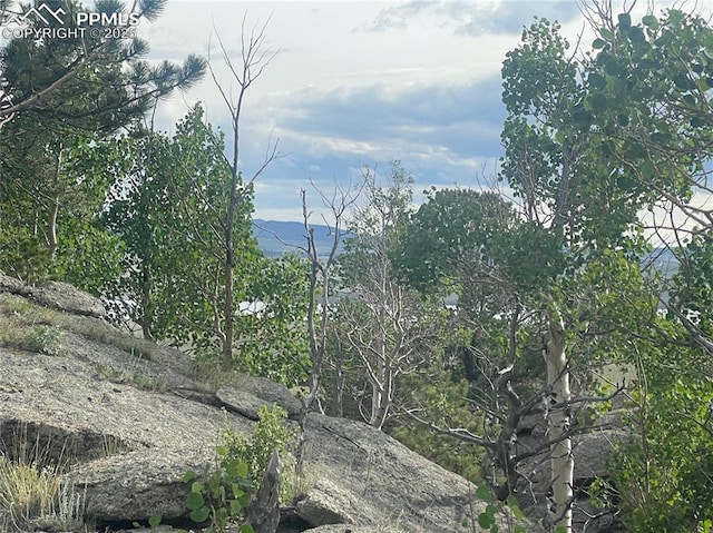 170 Emerald Way, Lake George, CO 80827
