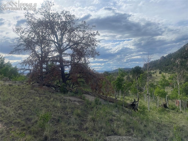 170 Emerald Way, Lake George, CO 80827